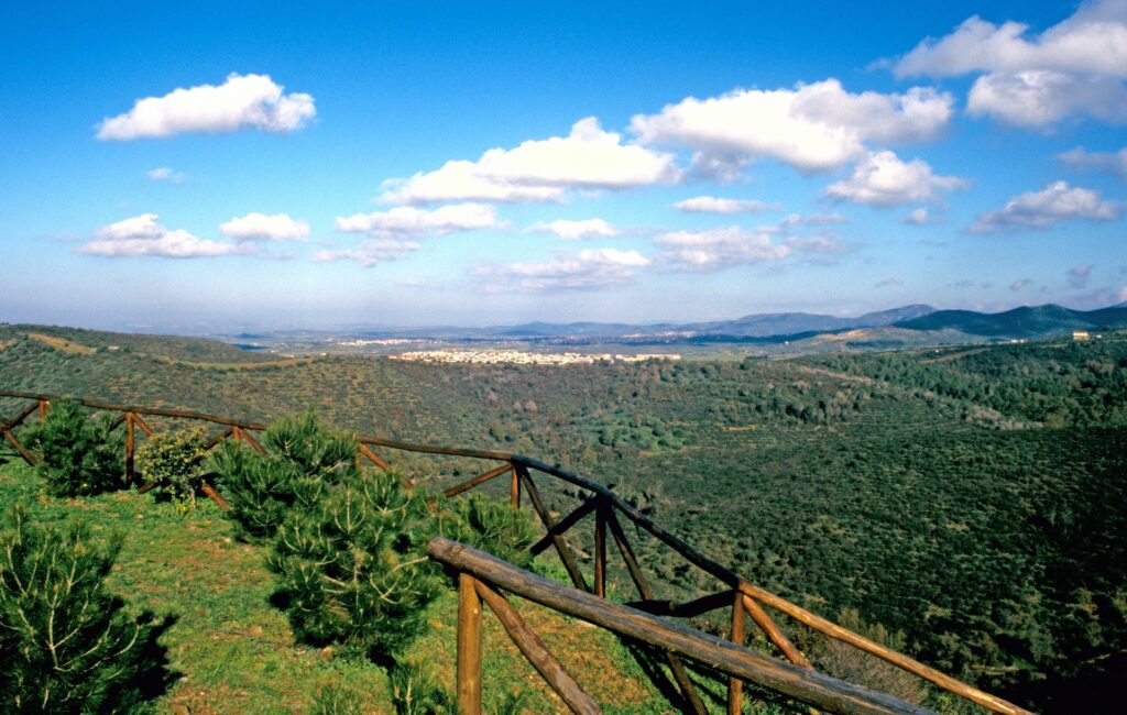 Panorama territorio Parteolla Soleminis vigneti Cantina Lecis Soleminis